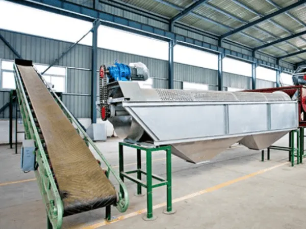 Giấy Vàng JSC Chuyên Sản Xuất Bột Mì Chất Lượng Cao